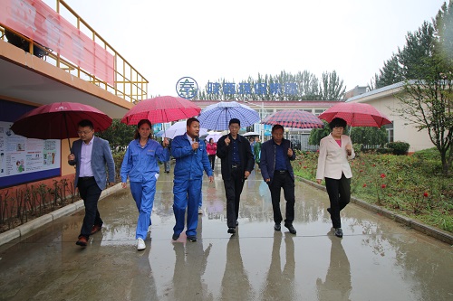 2025新澳门2025免费原料网