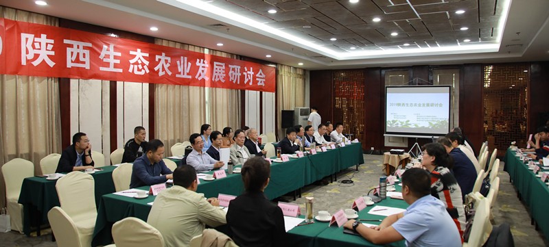 2025新澳门2025免费原料网
