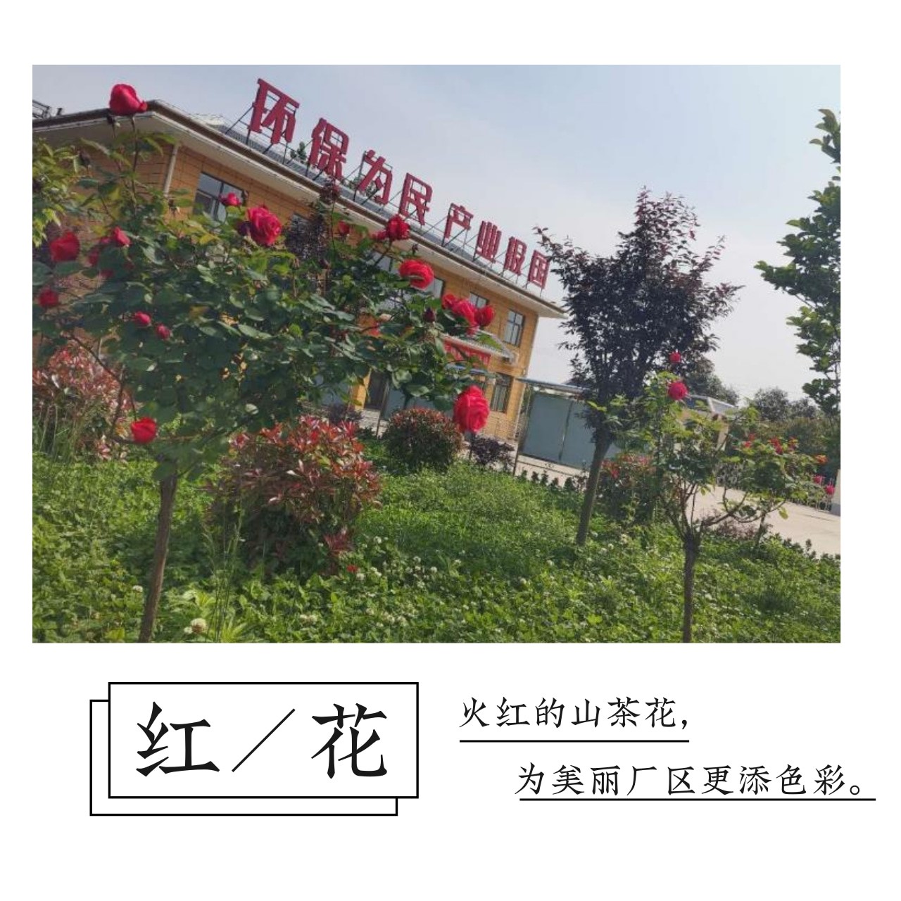 2025新澳门2025免费原料网