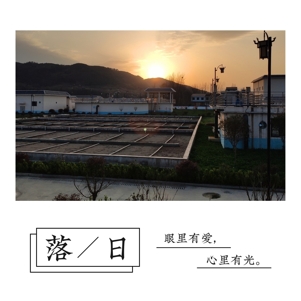 2025新澳门2025免费原料网