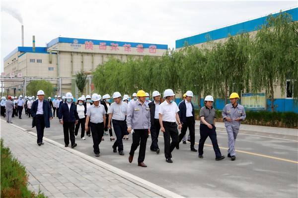 2025新澳门2025免费原料网