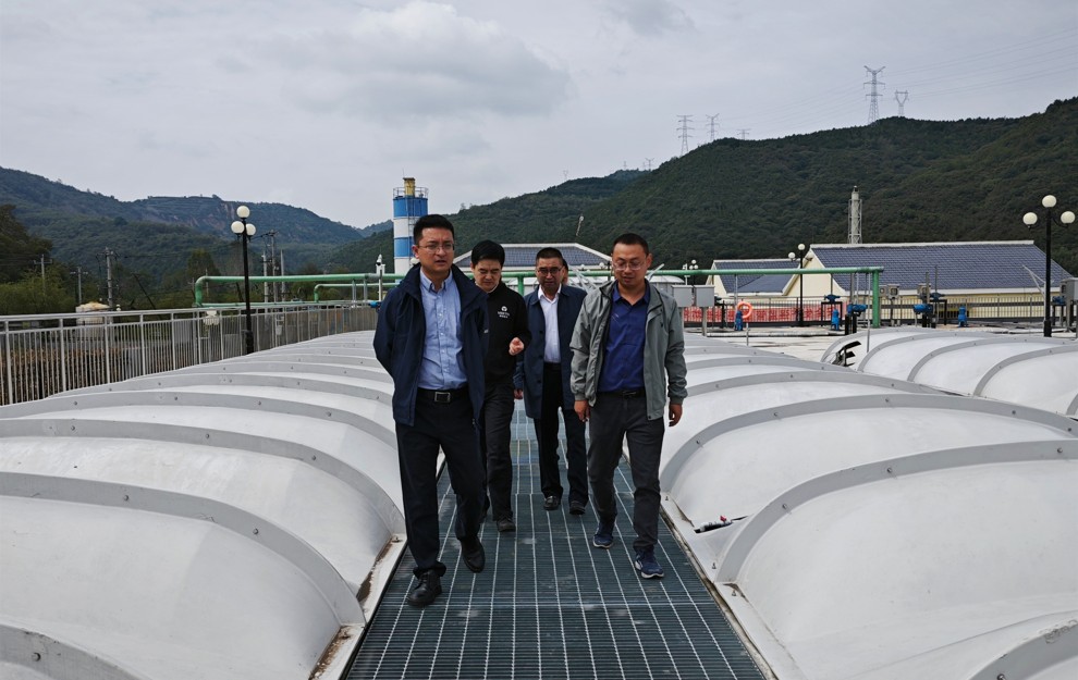 2025新澳门2025免费原料网