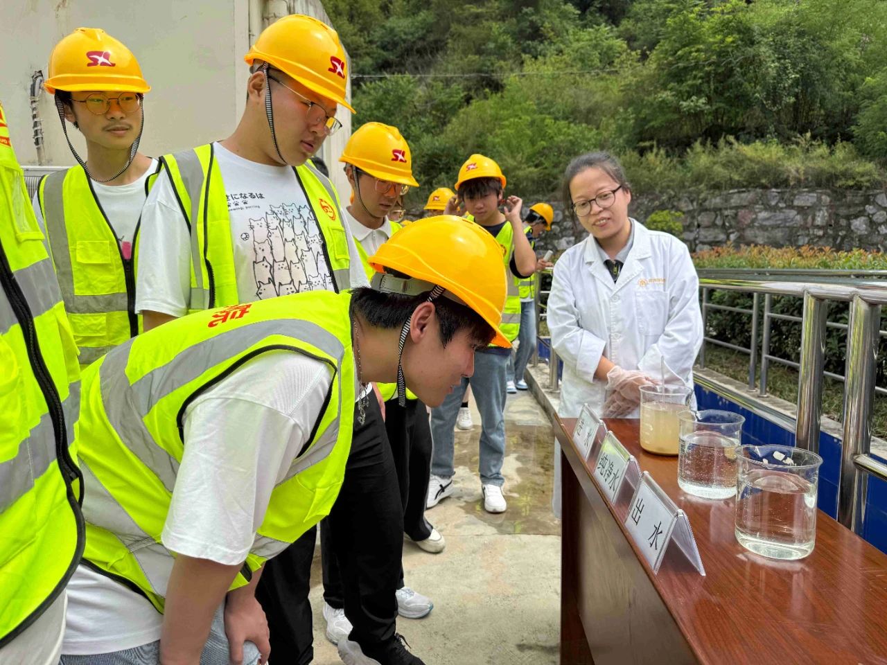2025新澳门2025免费原料网